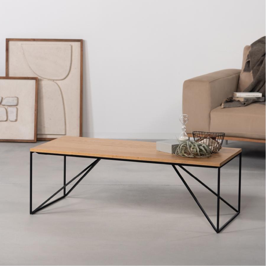 ローテーブル 幅110cm 奥行50cm センターテーブル リビング おしゃれ てーぶる 大きい 木製 天然木 シンプル モダン ナチュラル インダストリアル form 東谷 | 東谷 | 12