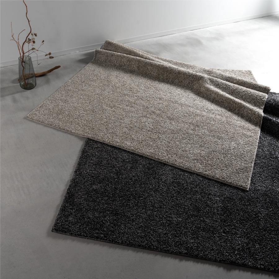 ラグ マット 190×240cm 約2.5畳 国産 日本製 防ダニ 抗菌 防臭 防炎 床暖房対応 大判 絨毯 じゅうたん 敷物 大きい ワイド 広い おしゃれ シャギー form 東谷