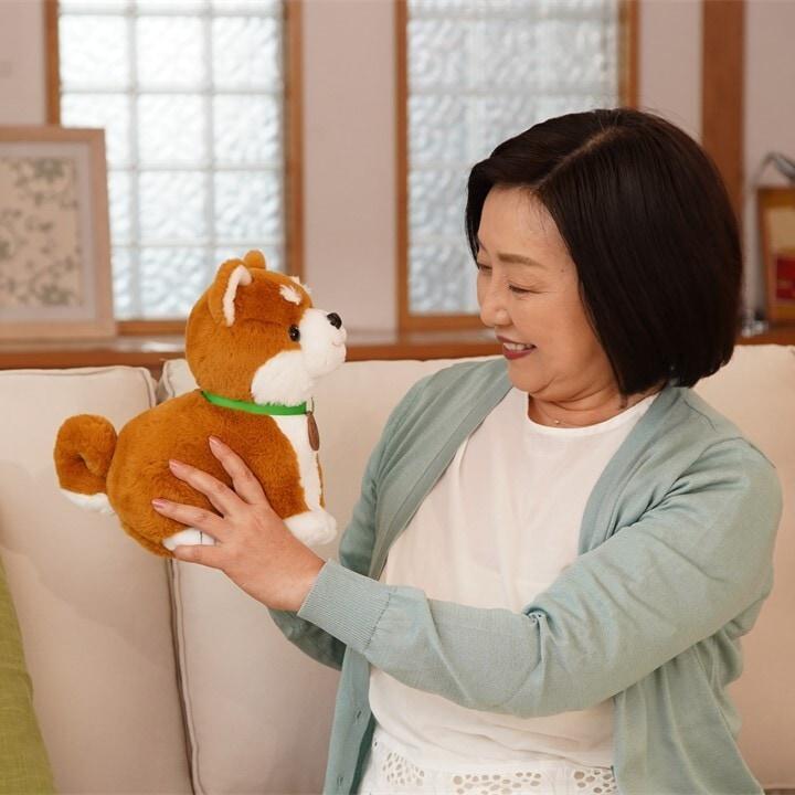 おまけ付（単3電池10本）音声認識人形 こんにちワン！しばいぬコウタ