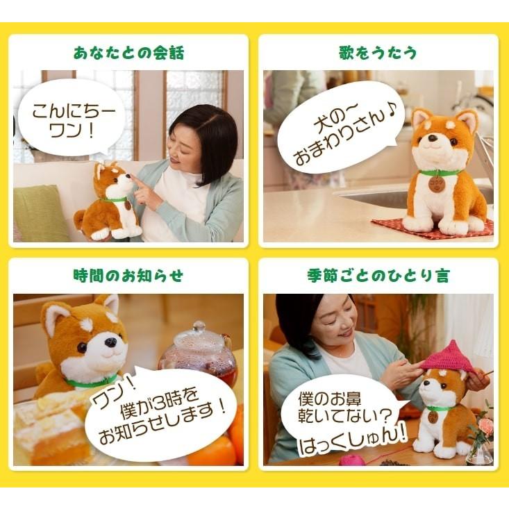 おまけ付（単3電池10本）音声認識人形 こんにちワン！しばいぬコウタ