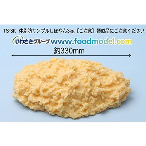 柔らかい 体脂肪サンプル しぼやん 3kg 完売 Tv Creativetalentnetwork Com