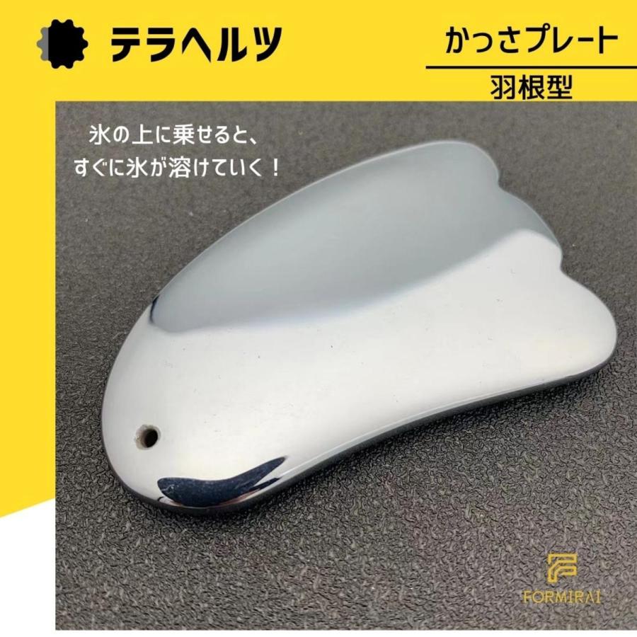テラヘルツ　カッサプレート テラヘルツカッサプレート | ☆PureStar☆(株式会社ピュアスター)
