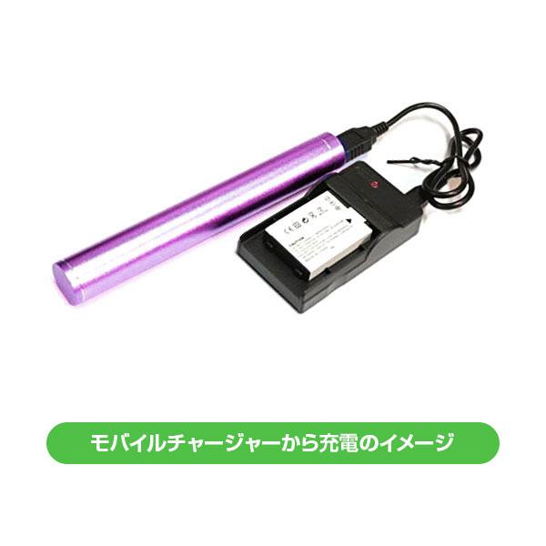 DC04 Sony DR-HC65 DR-HC85対応 互換 USBバッテリーチャージャー｜fortesss｜03
