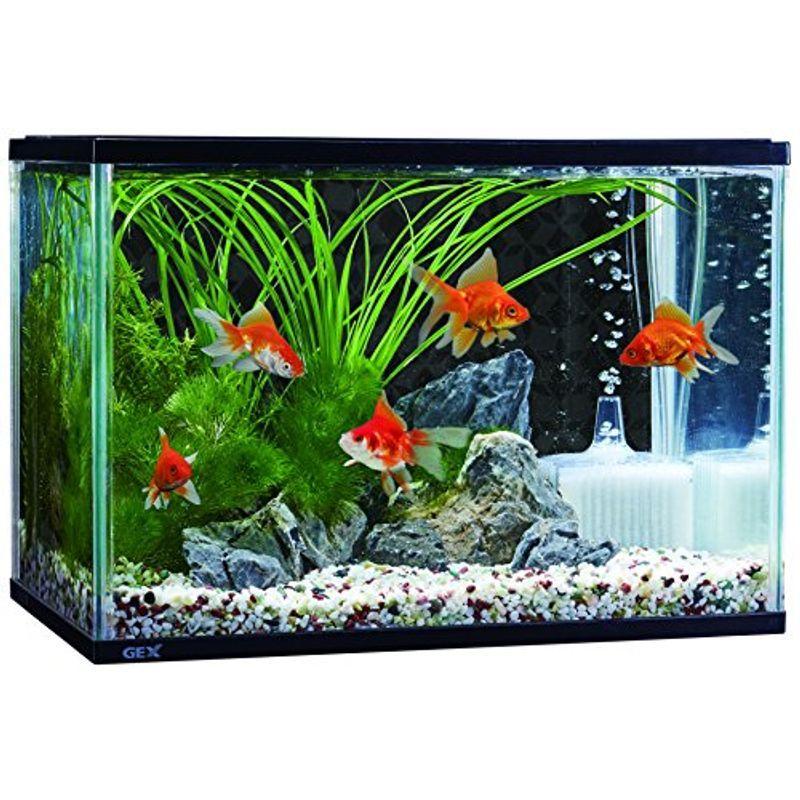 ジェックス 金魚のお部屋和彩l ノミ ダニ対策用品