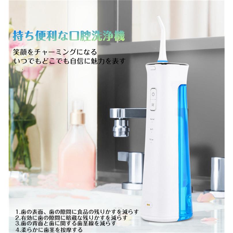 高周波パルス水流 器具 口腔ケア 口臭防止 歯周病予防 歯石除去 歯磨き 電動はぶらし 口腔洗浄器 Usb充電式 I歯周炎 虫歯予防 口内洗浄 ノズル4種類 St 101a Fortuna Co 通販 Yahoo ショッピング