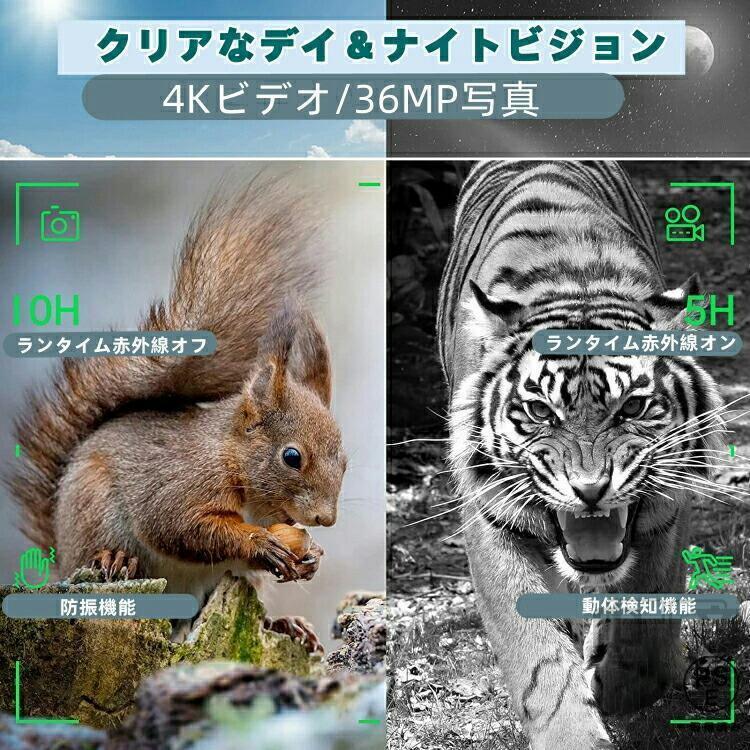 暗視スコープ ナイトビジョン 4Kイトビジョン 双眼鏡 4K撮影 動物観察 夜間撮影 36MP画像 望遠鏡 赤外線ナイトビジョンゴーグル ハンティング用 高倍率 7レベル_14