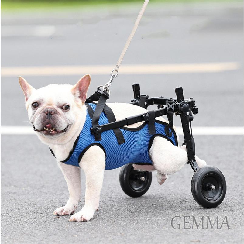 カニンヘンダックス4輪　リハビリ　食事補助　犬用車椅子　介護　犬の歩行器 Amazon.co.jp: MIKEART 犬用車椅子 歩行器 車いす 4輪 歩行補助