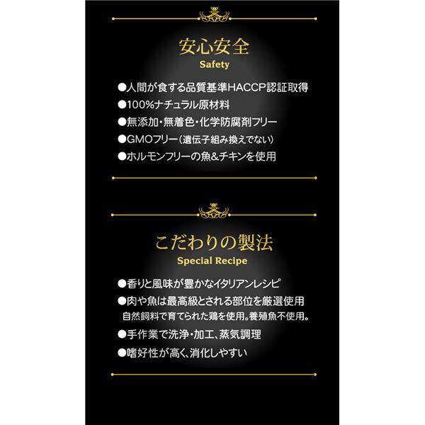 〔まとめ〕 ペットフード シシア キャットフード チキンフィレ 85g 56セット 猫用品 ペット用品〔代引不可〕 〔まとめ〕 ペット用品〔代引不可〕 E1299159351(12800円)