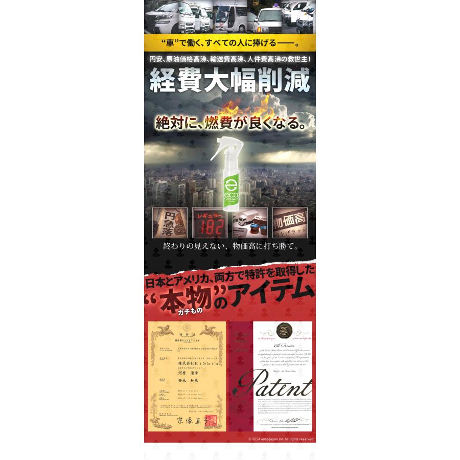 燃料添加剤 ガソリン添加剤より安心安全 日米特許取得 30ml エコ