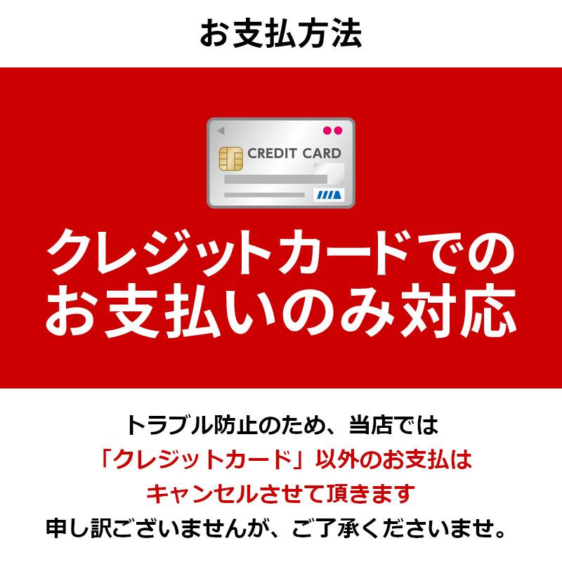 【レンタル延長】 延長1泊〜4週間 ビデオカメラ Panasonic HC-W585M フルHDビデオカメラ 64GB SDカードセット｜fortune｜03