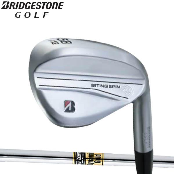 ブリジストン　アイアン　DGX100 BRIDGESTONE（ブリヂストン） ブリヂストンゴルフ 2024 NEW ツアーB X