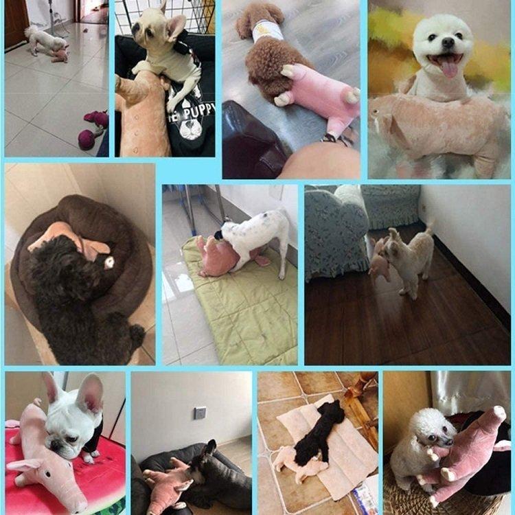 犬 噛む おもちゃ ぬいぐるみ 可愛い豚 丈夫 壊れない 安全 大型犬 テディ ゴールデンレトリバー 祝日 清潔 ストレス発散 誕生日 歯磨きドギーマン プレゼント 小型犬