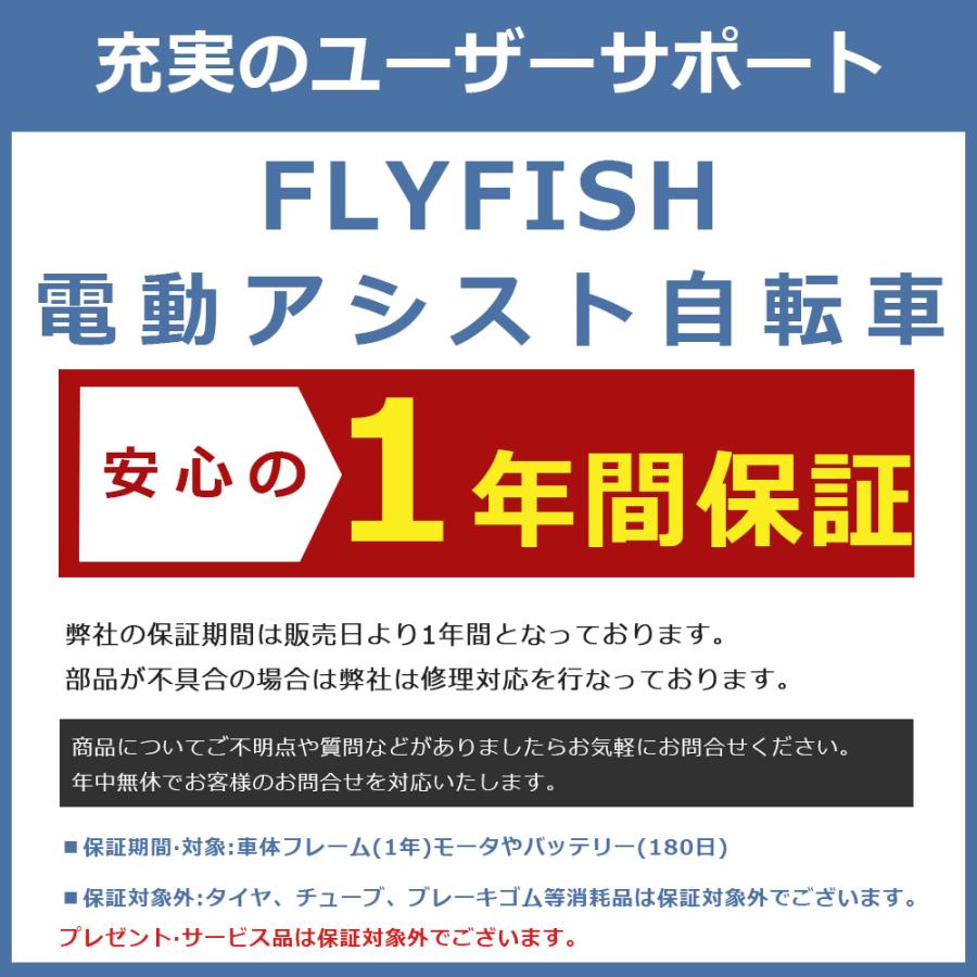 2024新型 FLYFISH 電動アシスト自転車 折りたたみ 20インチ 自転車おしゃれ 女の子 通勤アシスト自転車免許不要 公道走行可能 電動折りたたみ自転車安いE-BIKE｜foryoustore｜21