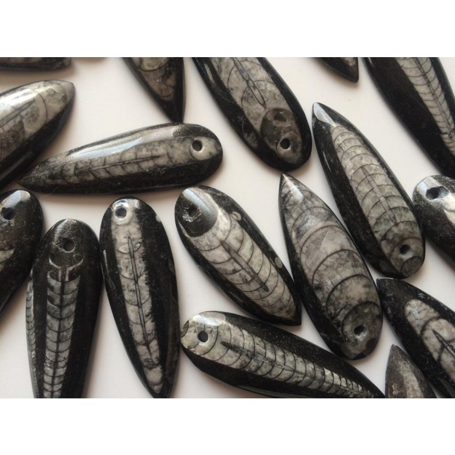 ☆ペンダントなどのアクセサリーに最適☆「直角貝」の化石 3個