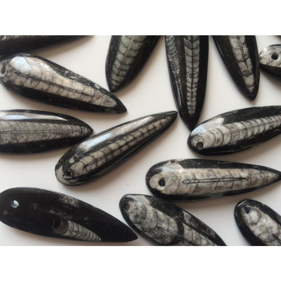 ☆ペンダントなどのアクセサリーに最適☆「直角貝」の化石 3個