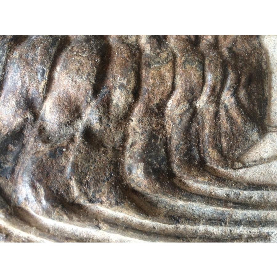 オルドビス紀の三葉虫「セレノペルティスとエクチラエヌス」化石