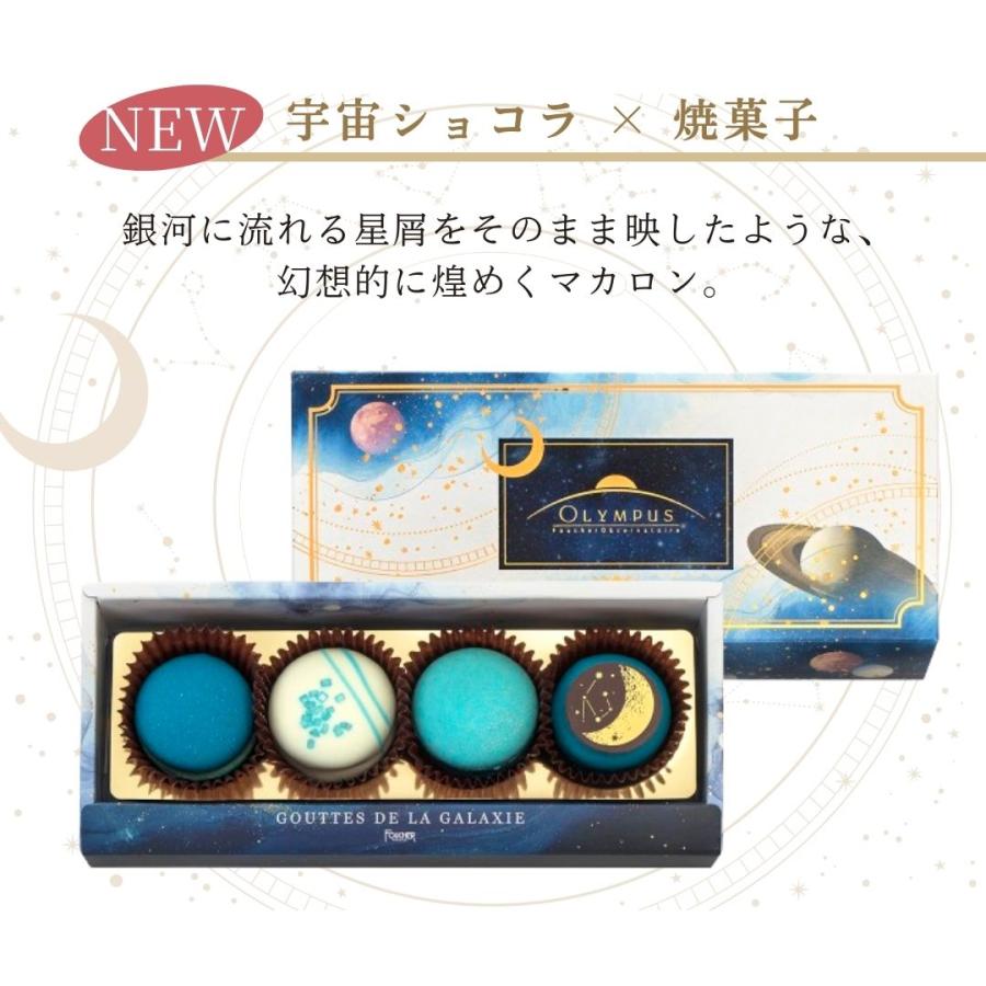 FOUCHER（フーシェ） バレンタイン 2026 チョコレート ギフト チョコ