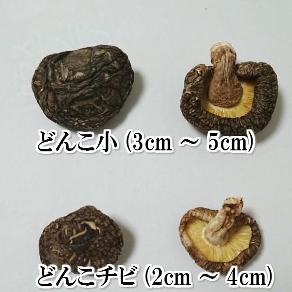 2025年2月下旬入荷】国産 乾燥シイタケ 乾燥椎茸 500g : four