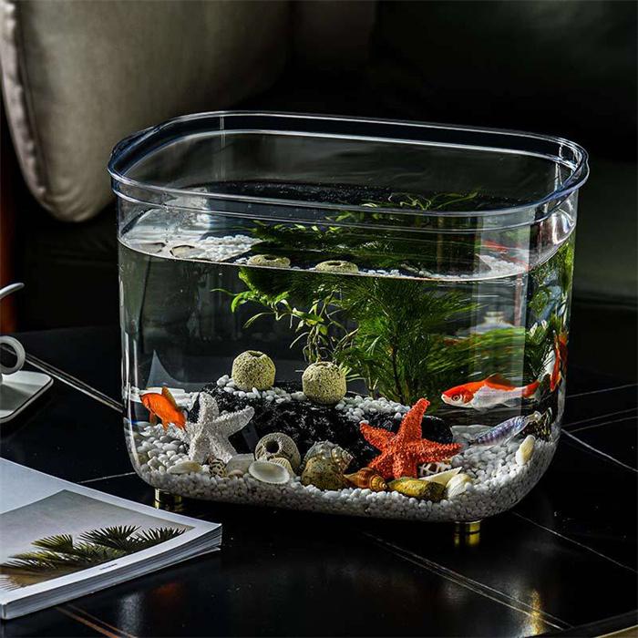 希少　激レア　まめゴマリウム　水槽　金魚鉢　まとめ売り 希少 激レア まめゴマリウム 水槽 金魚鉢 まとめ売り