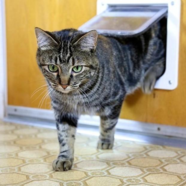 ペットドア 取り付け 自作 工事不要 猫 犬 ペット用ドア 出入口 キャットドア ペット用品｜four-piece｜14