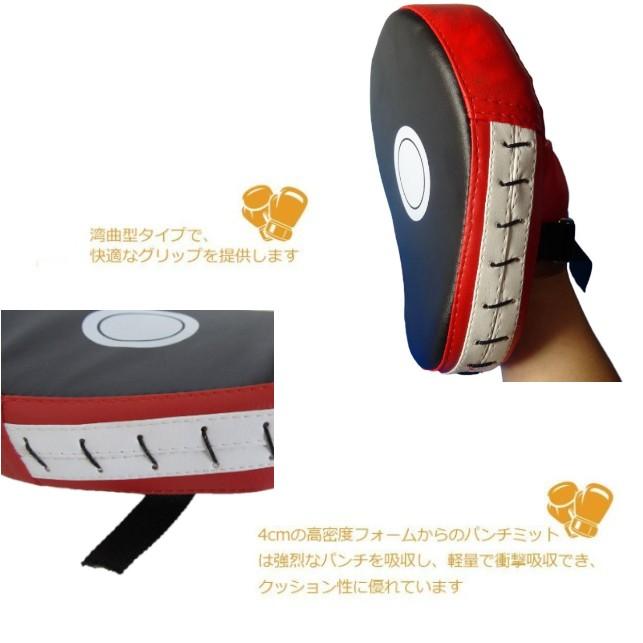 パンチングミット 左右セット トレーニング 筋トレ ボクササイズ
