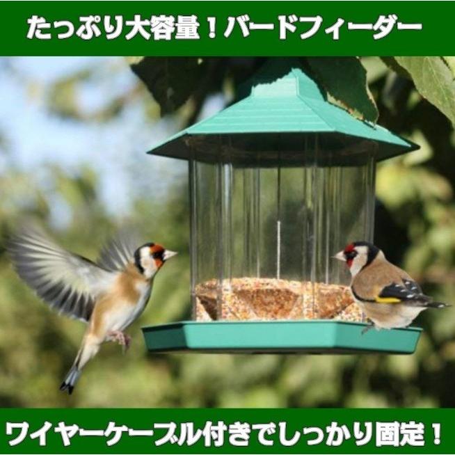 バードフィーダー バードウォッチング 野鳥の餌台 鳥小屋 鳥かご 庭 ガーデン おしゃれ 野鳥 給餌器 餌台 餌場 えさ台 吊下げグリーン｜four-piece｜08