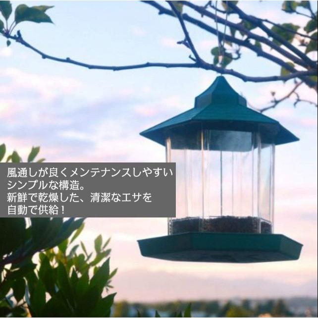 バードフィーダー バードウォッチング 野鳥の餌台 鳥小屋 鳥かご バードフィーダー バードウォッチング 野鳥の餌台 鳥小屋 鳥かご