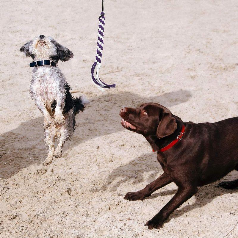 Ledmomo 犬用釣竿おもちゃ ロープ 犬おもちゃ 噛むおもちゃ 犬じゃらし 三節伸縮 ストレス 運動不足解消 丈夫 小型犬 中型犬 人気 Fourdays 通販 Yahoo ショッピング