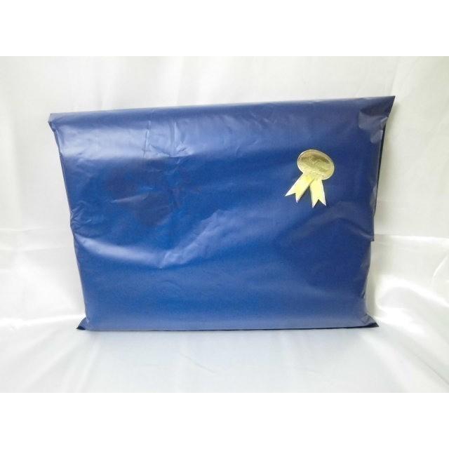 【完売】子供用枕　ソフト低反発枕　すみっコぐらし  25x35  低反発まくら　こども用まくら　ジュニアまくら　子供用　SAN-X　サンエックス | San-X | 04