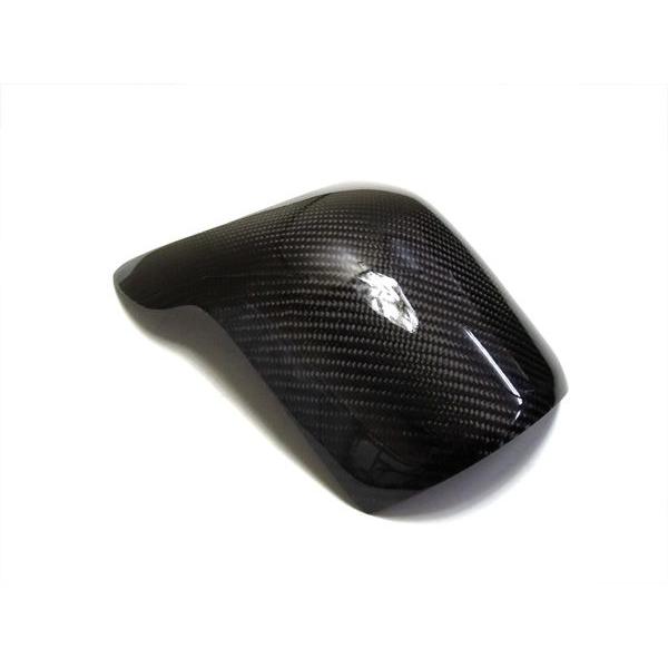 ドゥカティパフォーマンス　カーボンダクトカバー Webike | DUCATI Performance ドゥカティパフォーマンス