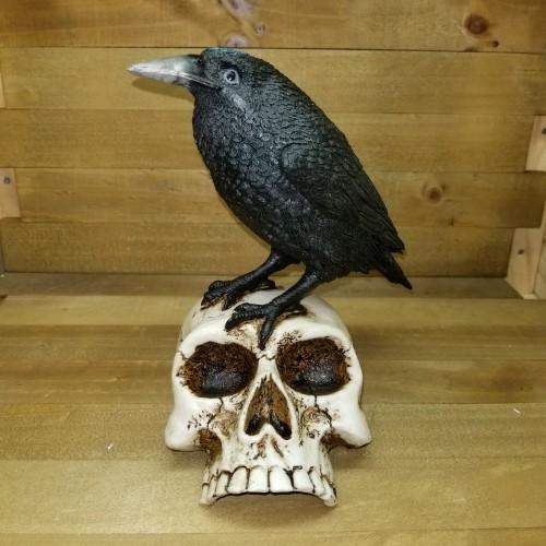 レイブンオンスカル ガイコツの上に立つカラス Raven on skull スカル フィギュア インテリア オブジェ｜foursometoys｜02