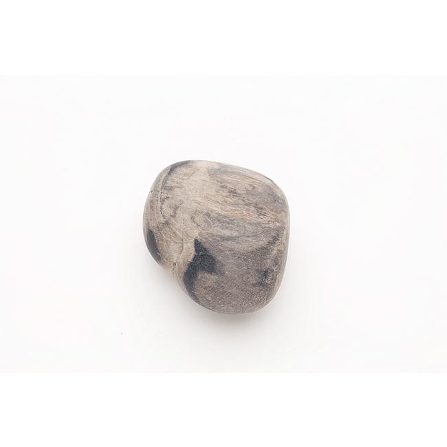 珪化木（津軽瑪瑙） ルース Petrified wood (Tsugaru menoe) 41mm (#101083)｜fourstones