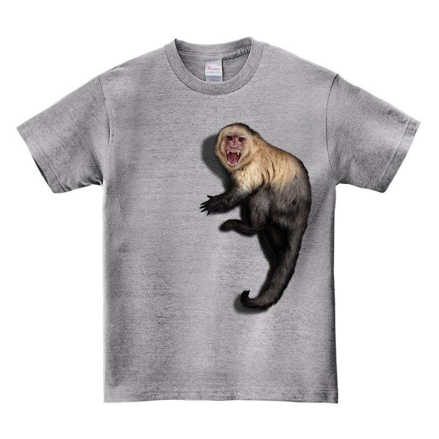 威嚇する猿 キッズ 半袖 Tシャツ Kids Ss Monkey1 Fox Republic 通販 Yahoo ショッピング