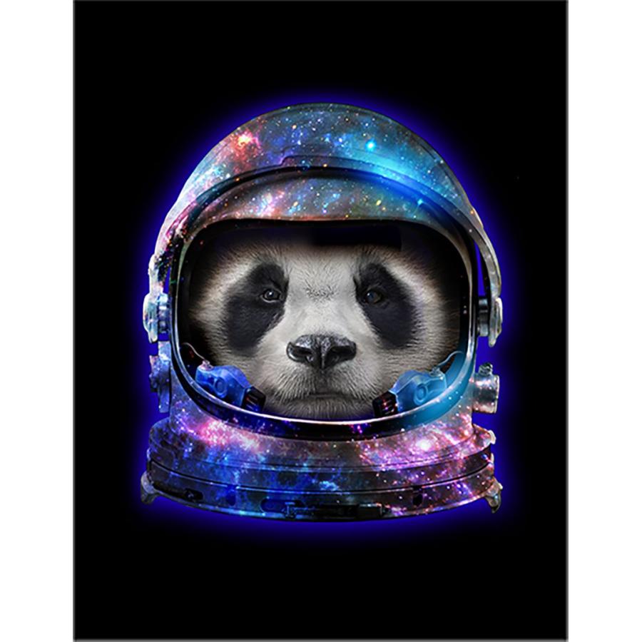 宇宙飛行士 パンダ ポストカード 黒背景 Postcard Astro31 Fox Republic 通販 Yahoo ショッピング