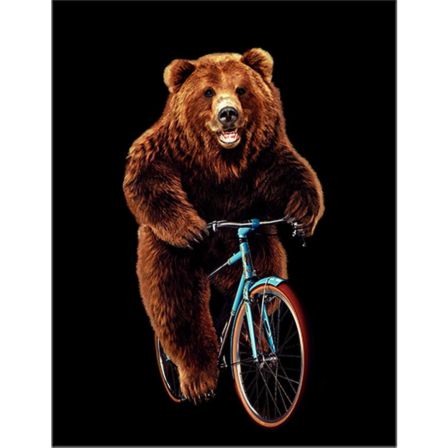 自転車にのる熊・クマ 】ポストカード : FOX REPUBLIC - 通販
