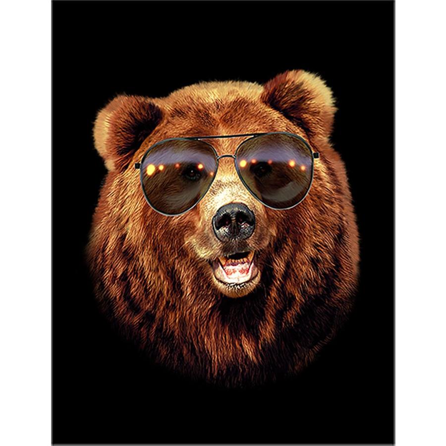 グリズリーベア・クマ・熊・サングラス】ポストカード : FOX