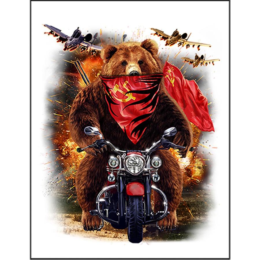 グリズリーベア・クマ・熊・ソビエト連邦・バイク】ポストカード : FOX