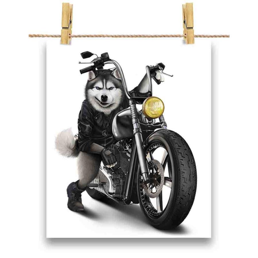 ポストカード シベリアンハスキー 犬 バイク バイカー by Fox