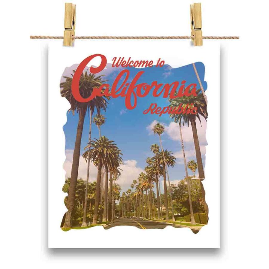 ポストカード ヤシの木 カリフォルニア ブラシ by Fox Republic : FOX