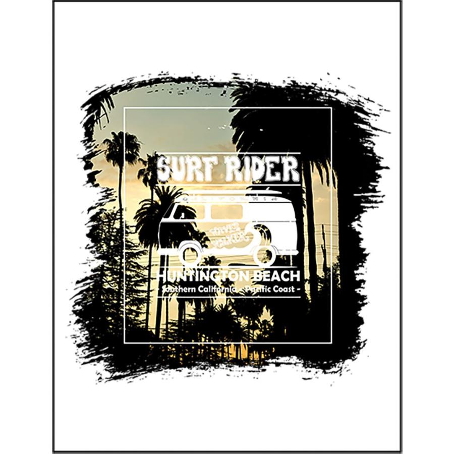 ポストカード カリフォルニア サンセット ブラシ by Fox