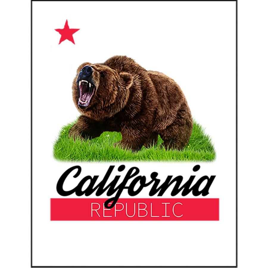 グリズリーベア 熊 クマ カリフォルニア ポストカード Postcard California23 Fox Republic 通販 Yahoo ショッピング