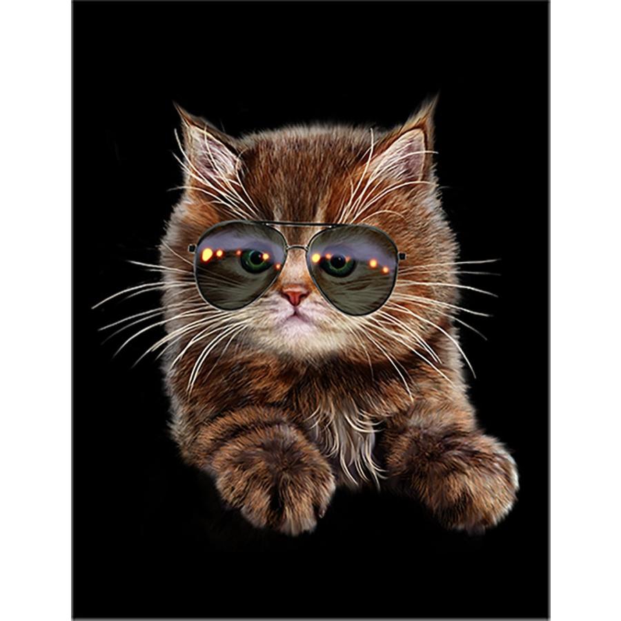 猫・ねこ・めがね】ポストカード : FOX REPUBLIC - 通販 - Yahoo