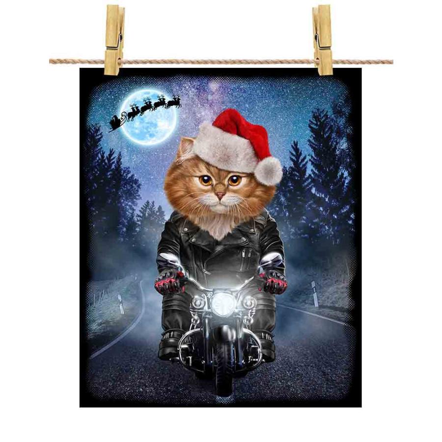 三毛猫 オレンジ ねこ バイク クリスマス サンタクロース】ポスト