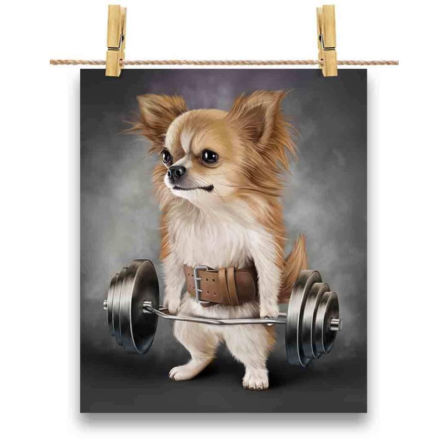 ポストカード チワワ 犬 筋トレ 筋肉 バーベル ウエイトリフティング By Fox Republic Postcard Chihua Set6 Fox Republic 通販 Yahoo ショッピング