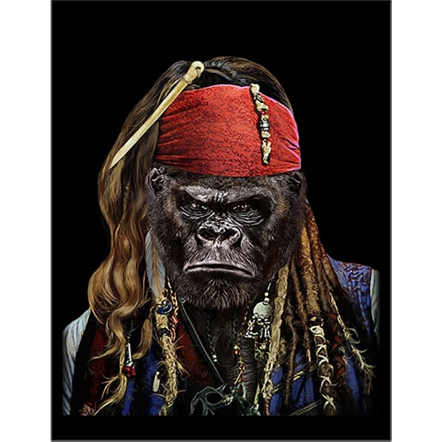 ゴリラ・船長・海賊】ポストカード : FOX REPUBLIC - 通販 - Yahoo