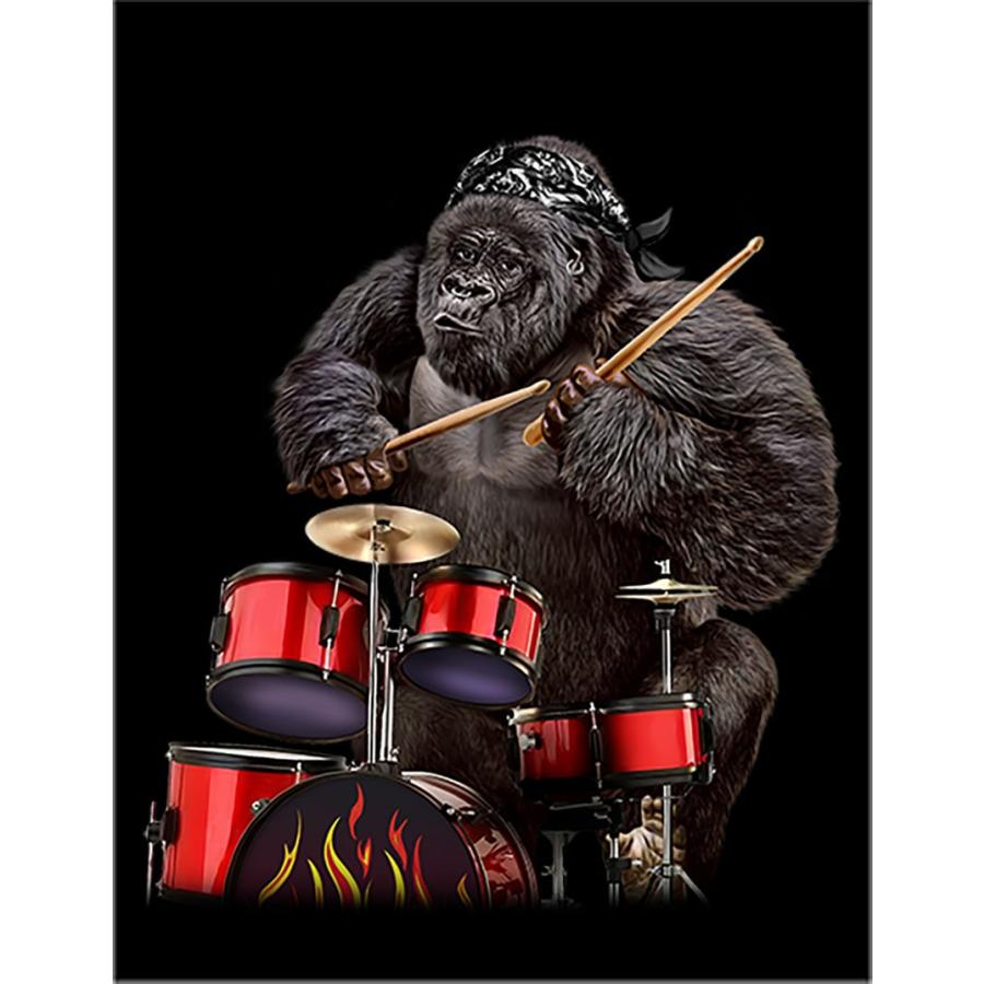ゴリラ・ドラマー・ドラム・バンド・ロック】ポストカード : FOX