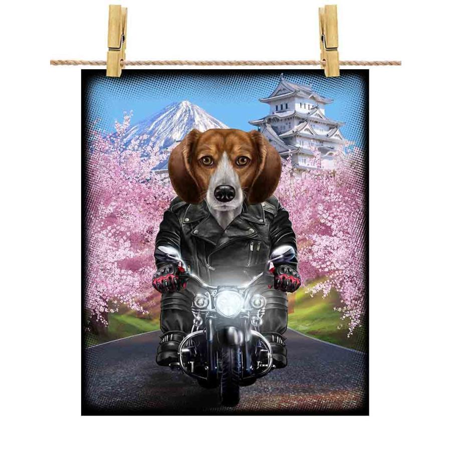 犬犬アヒル: 桶川より愛をこめて ポストカードブック ビーグル ドッグ 犬 いぬ バイク 桜 日本】ポストカード by Fox