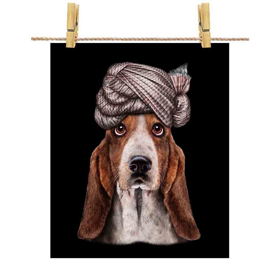 バセットハウンド ドッグ 犬 いぬ ターバン ポストカード By Fox Republic Postcard Dog Bst 12 Fox Republic 通販 Yahoo ショッピング