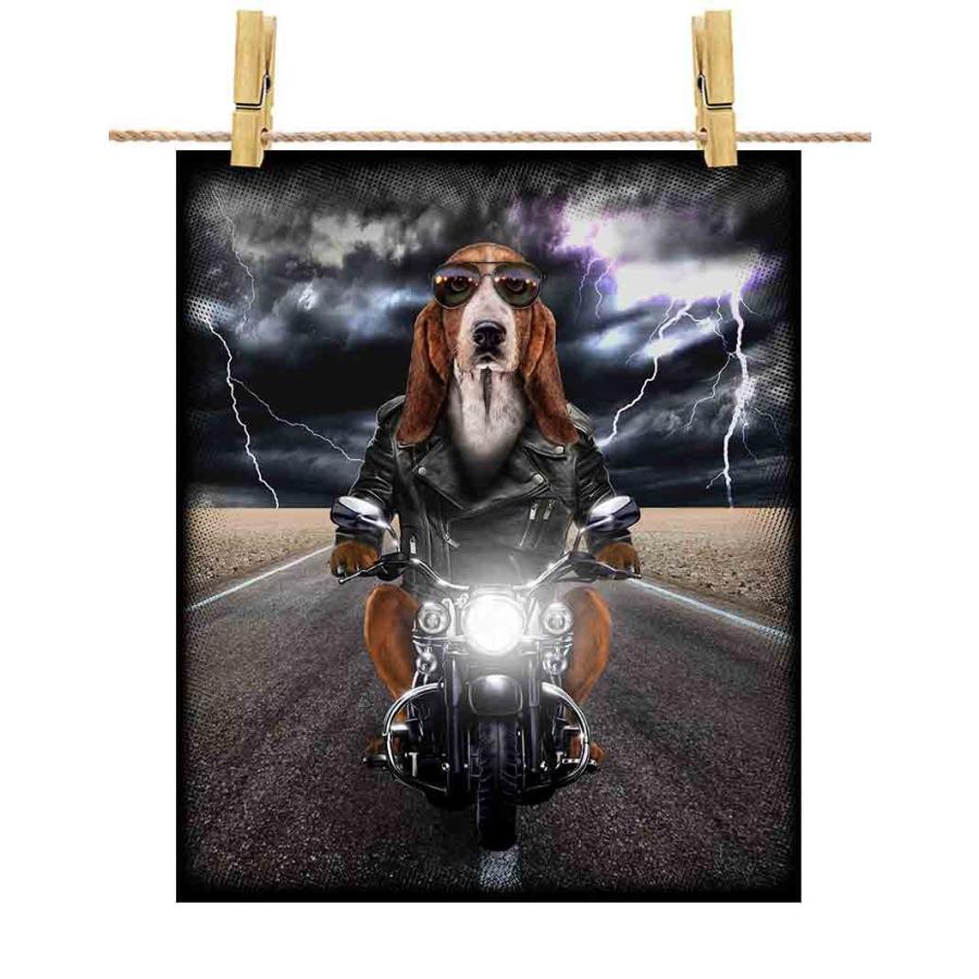 バセットハウンド　ドッグショー　海外　アンティーク　犬　希少 THE DOG ぬいぐるみ Big（バセット・ハウンド） | THE DOG STORE