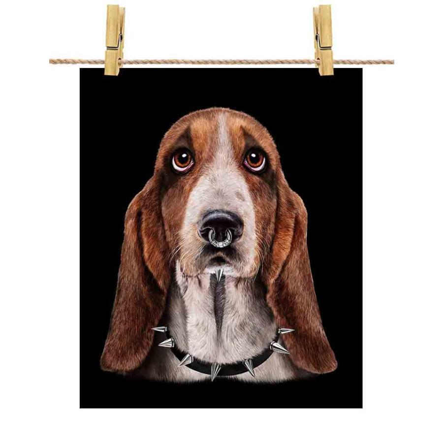 バセットハウンド ドッグ 犬 いぬ ロック ポストカード By Fox Republic Postcard Dog Bst 3 Fox Republic 通販 Yahoo ショッピング